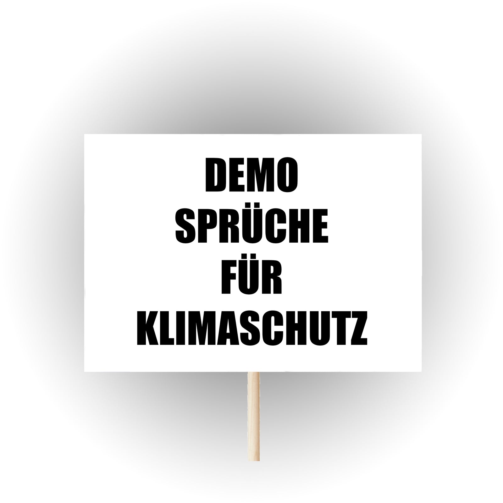 Demosprüche Demo Sprüche Klimaschutz Klimawandel HS Official Demoschilder Pappschilder Plakate