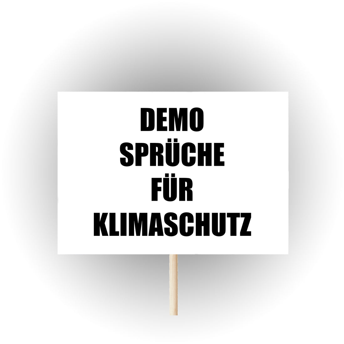 Demosprüche Demo Sprüche Klimaschutz Klimawandel HS Official Demoschilder Pappschilder Plakate